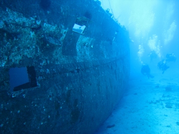 Diving around Maui